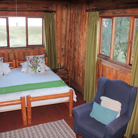 Greenfire Drakensberg Lodge Bonjaneni Oda fotoğraf