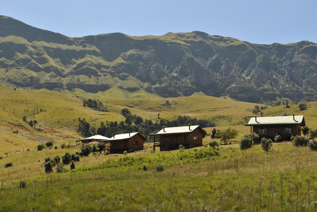Greenfire Drakensberg Lodge Bonjaneni Oda fotoğraf