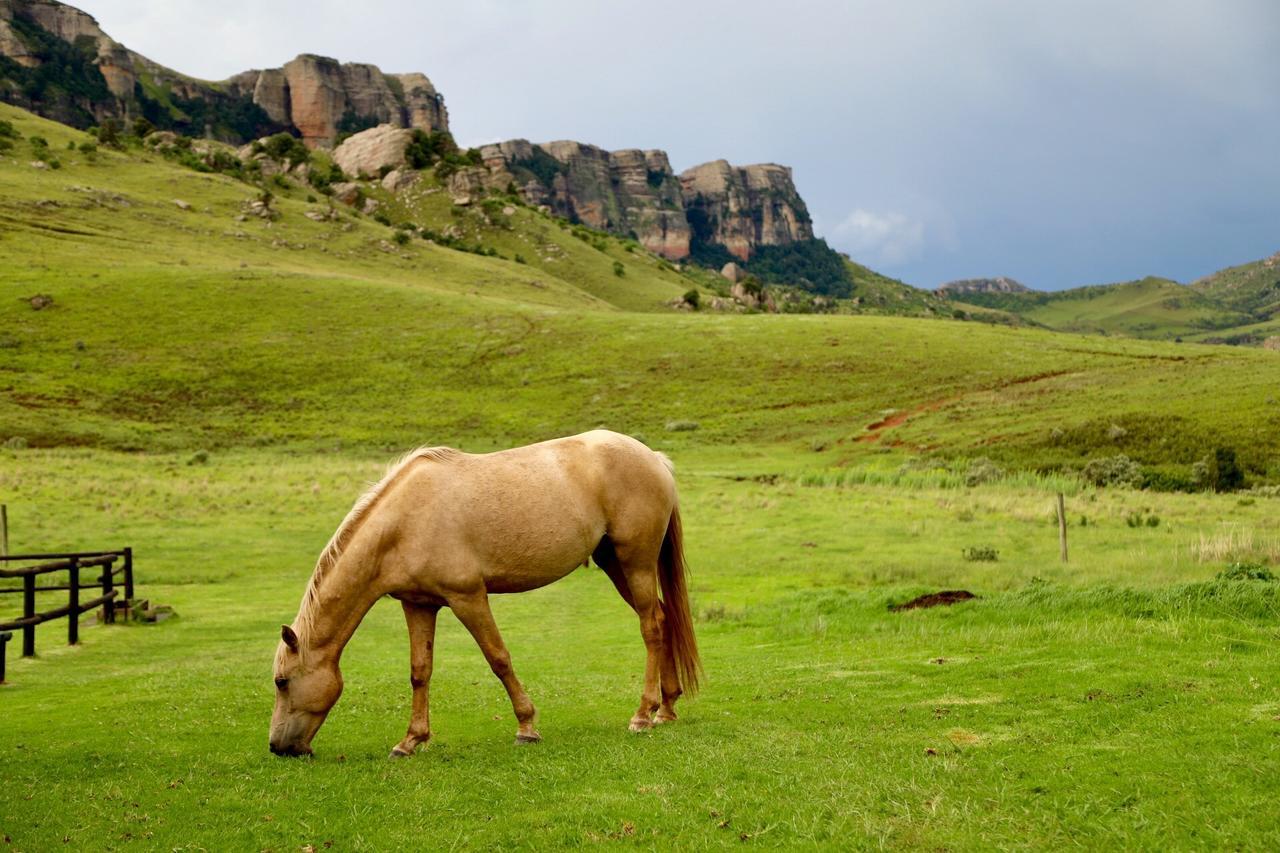Greenfire Drakensberg Lodge Bonjaneni Dış mekan fotoğraf