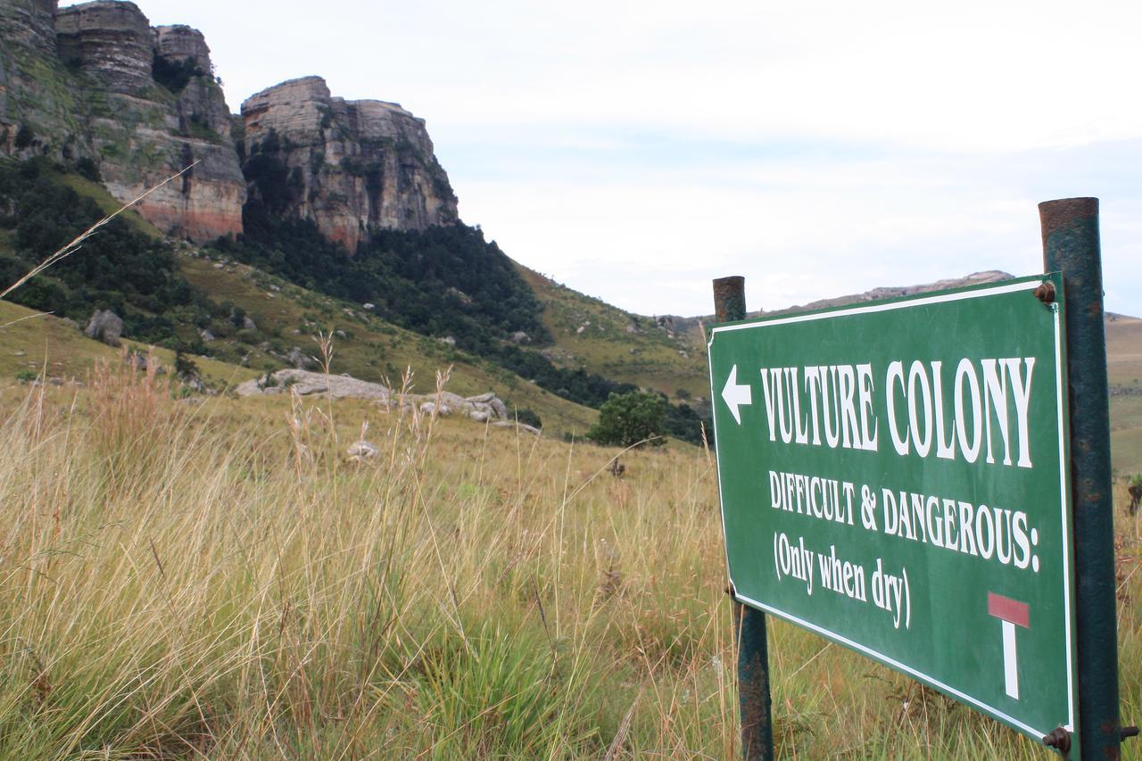 Greenfire Drakensberg Lodge Bonjaneni Dış mekan fotoğraf